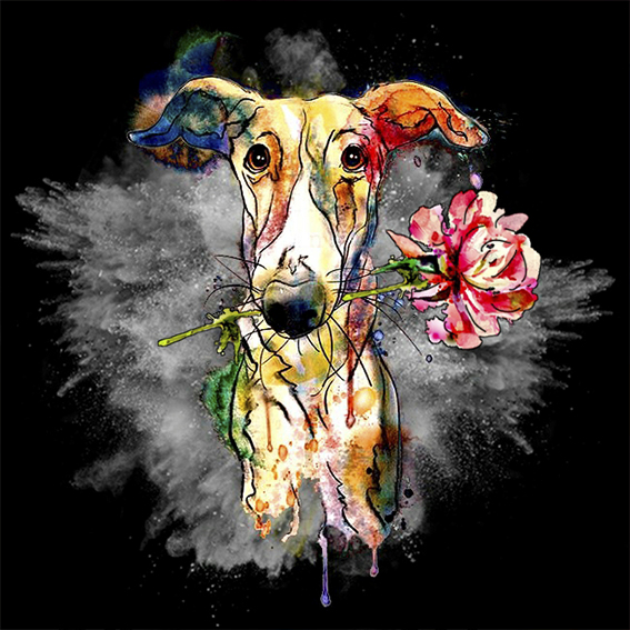 Ilustración frontal de una perra de raz Galgo con una rosa en la boca. Representación para una protectora el dia de Sant Jordi, Barcelona.